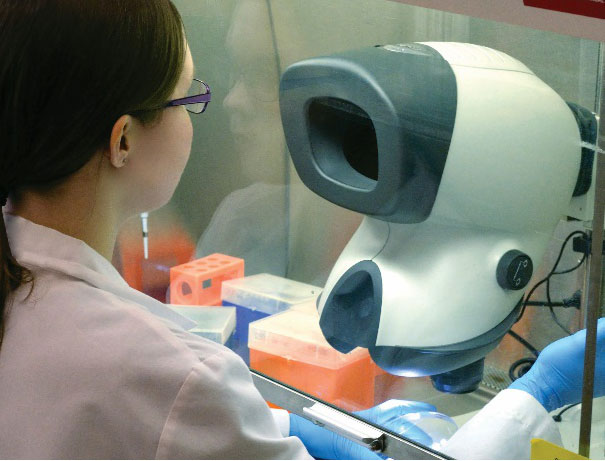 Technicien de laboratoire avec des lunettes utilisant un microscope Mantis à l'intérieur d'une armoire à flux laminaire