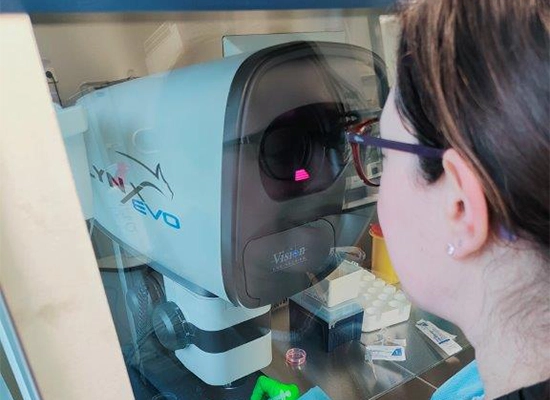 Female scientist with glasses using Lynx EVO microscope to inspect stem cells within a laminar flow cabinet